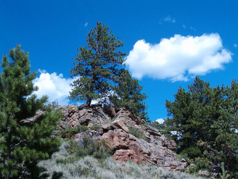 Property photo 35 - Get Lost in the Pristine Northern Colorado Rockies - Prime Building Sites